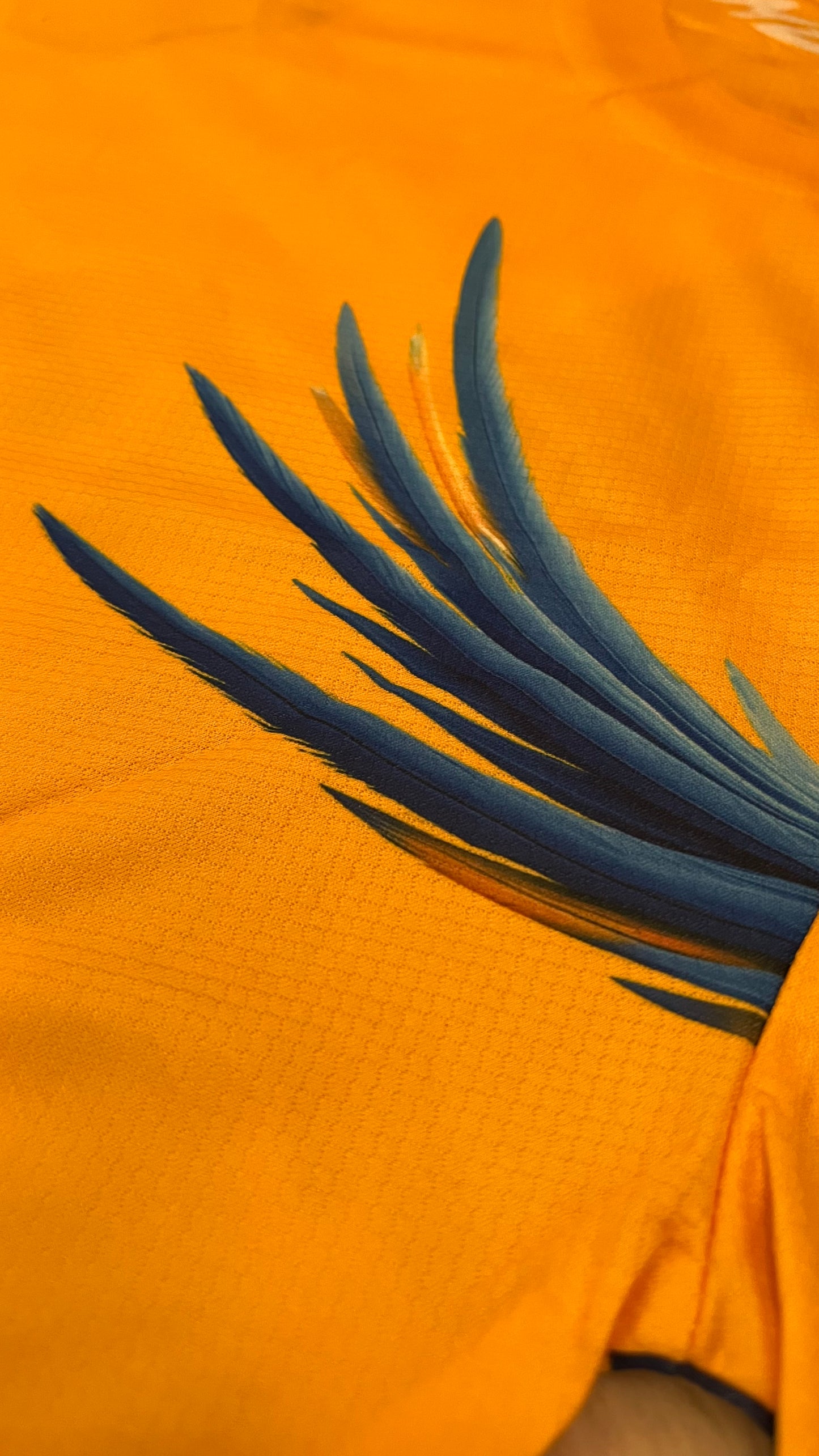 Maillot Concept "BRESIL"